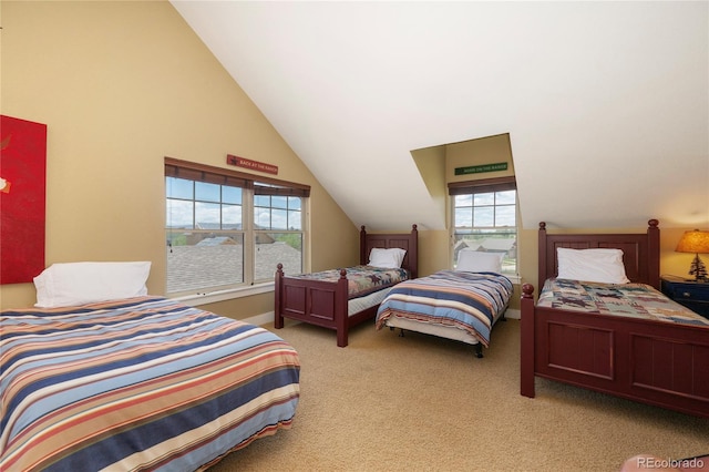 350 Lone Eagle, Granby, CO 80446 - photo 23