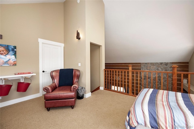 350 Lone Eagle, Granby, CO 80446 - photo 24
