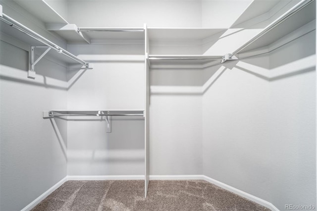 4947 N Quatar St, Aurora, CO 80019 - walk in closet with carpet floors