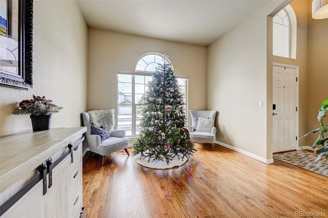 sitting room featuring light hardwood / wood-style flooring