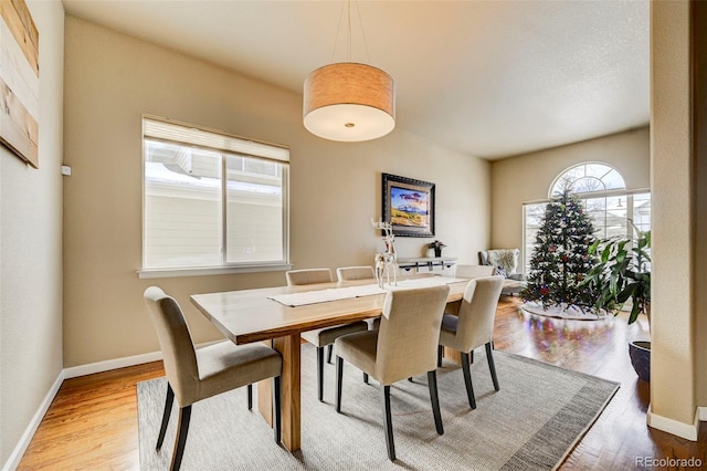 dining area with hardwood / wood-style floors