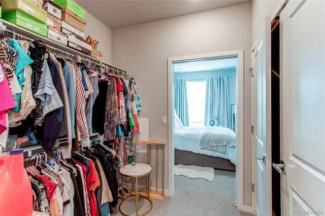 155 S Monaco Street Parkway Unit 311, Denver, CO 80224 - walk in closet with carpet floors