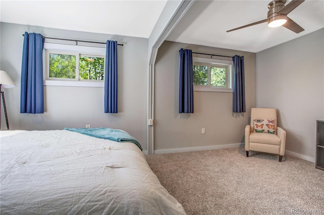 323 W 8th St, Salida, CO 81201 - photo 24