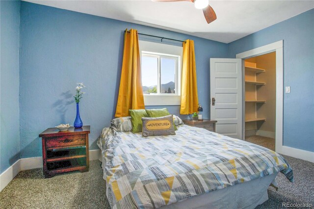 323 W 8th St, Salida, CO 81201 - photo 29