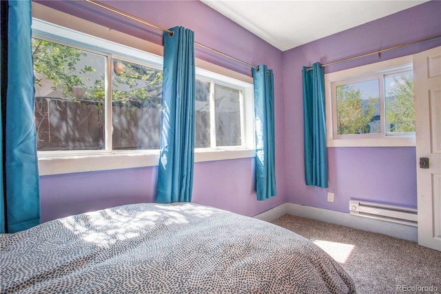 323 W 8th St, Salida, CO 81201 - photo 33