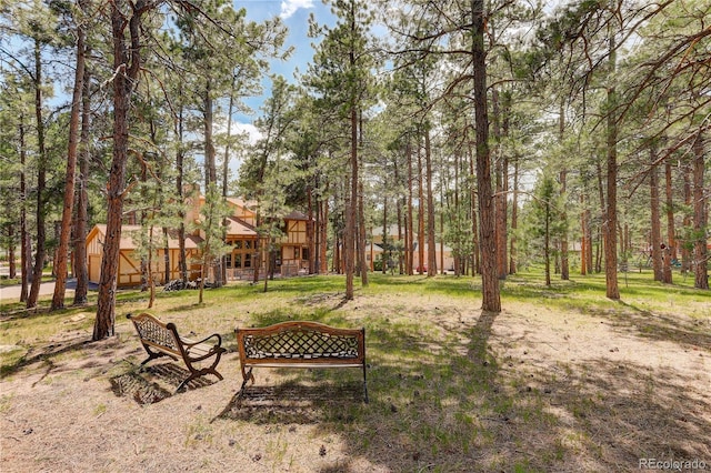 70 Long Bow Cir, Monument, CO 80132 - photo 27