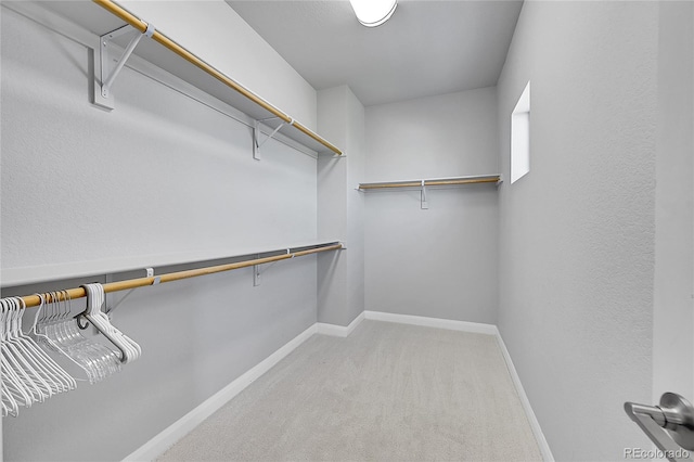 6632 Osage St, Denver, CO 80221 - walk in closet with carpet flooring