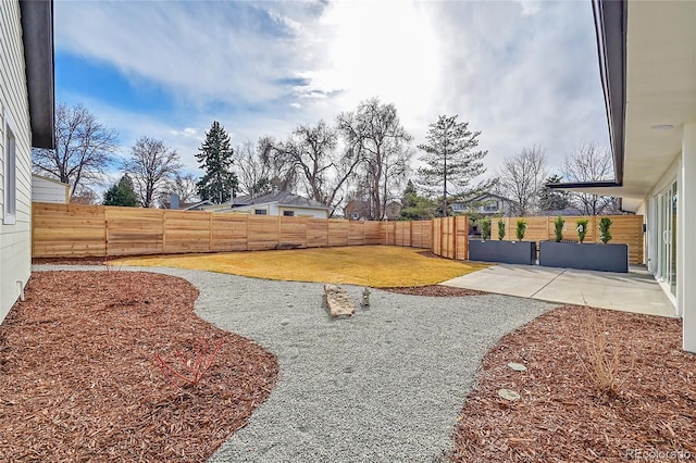 view of yard with a patio area and a fenced backyard