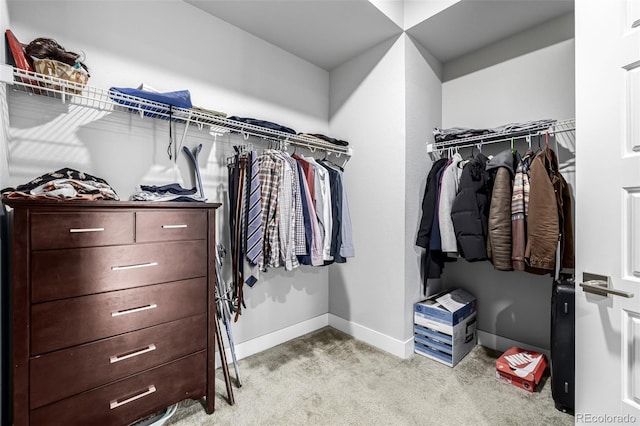 6018 Beeler Ct, Denver, CO 80238 - walk in closet with light carpet