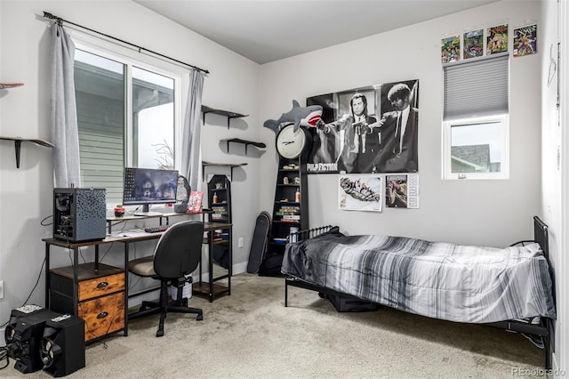 6018 Beeler Ct, Denver, CO 80238 - bedroom with multiple windows, carpet floors, and a desk