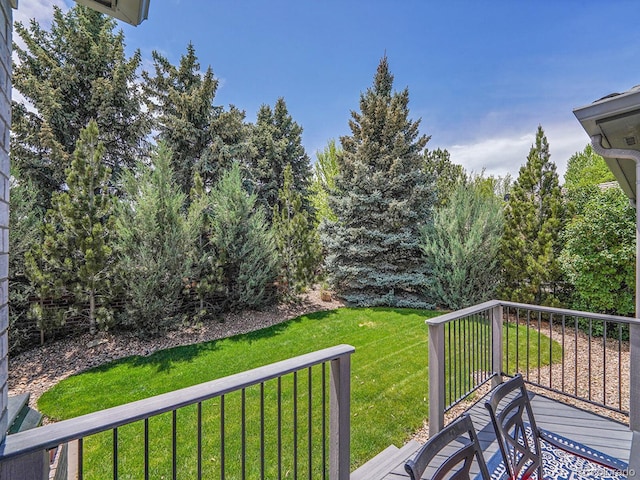 4704 W Hinsdale Ct, Littleton, CO 80128 - photo 32