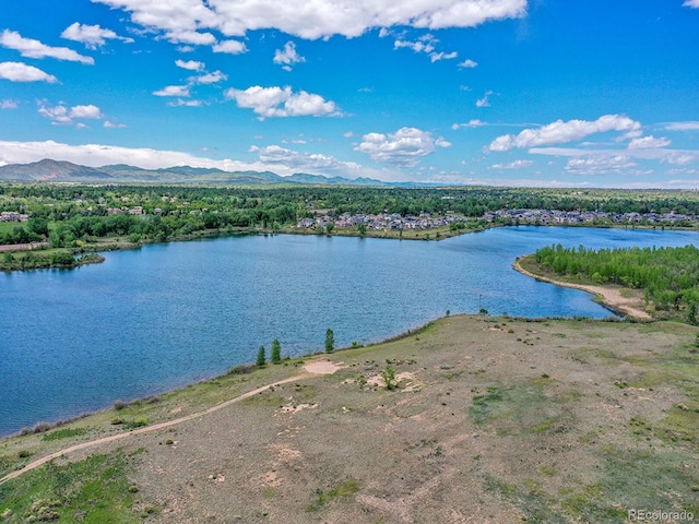 4704 W Hinsdale Ct, Littleton, CO 80128 - photo 39