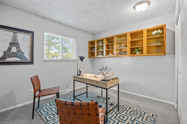 1250 S Monaco Pkwy Unit 50, Denver, CO 80224 - home office featuring carpet flooring and a textured ceiling
