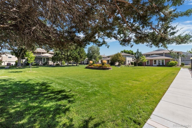 1250 S Monaco Pkwy Unit 50, Denver, CO 80224 - view of green lawn