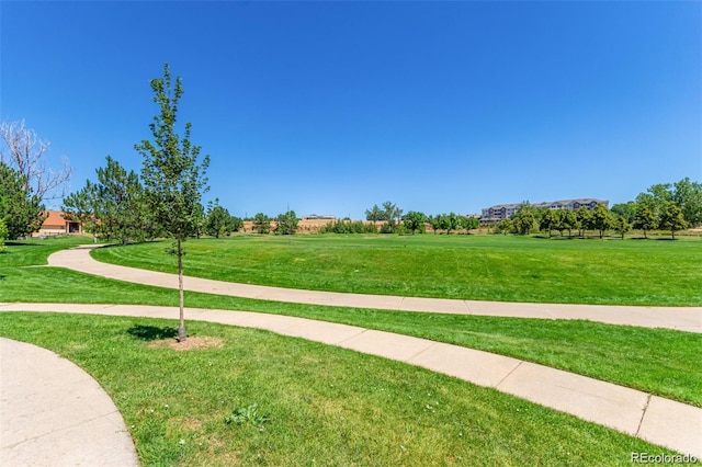 view of property's community with a lawn