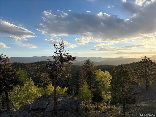 15077 Wilson Peak Rd, Pine, CO 80470 - view of mountain background featuring a forest