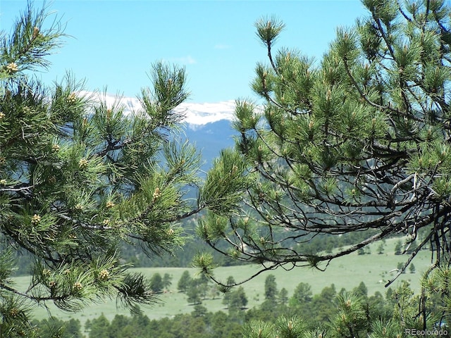 15077 Wilson Peak Rd, Pine, CO 80470 - mountain view