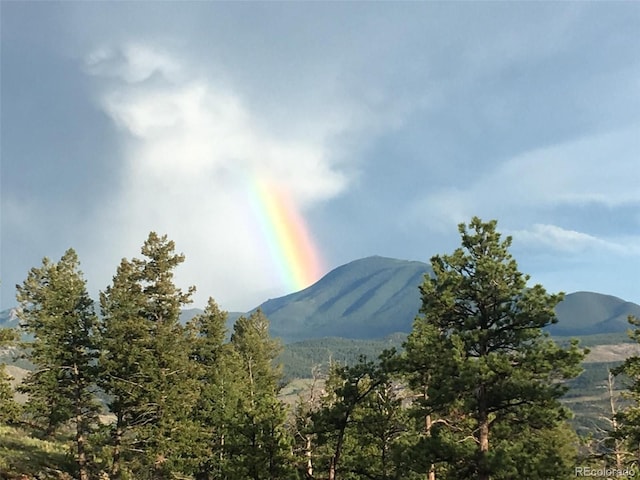 15077 Wilson Peak Rd, Pine, CO 80470 - mountain view