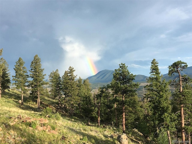 15077 Wilson Peak Rd, Pine, CO 80470 - view of mountain background