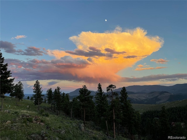 15077 Wilson Peak Rd, Pine, CO 80470 - view of mountain backdrop
