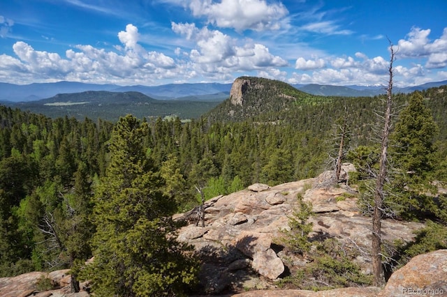15077 Wilson Peak Rd, Pine, CO 80470 - view of mountain backdrop with a forest