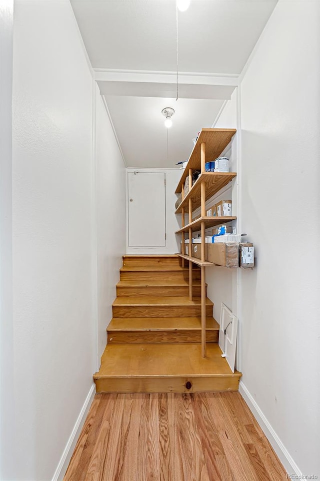 8793 E Monmouth Pl, Denver, CO 80237 - stairs with wood finished floors and baseboards