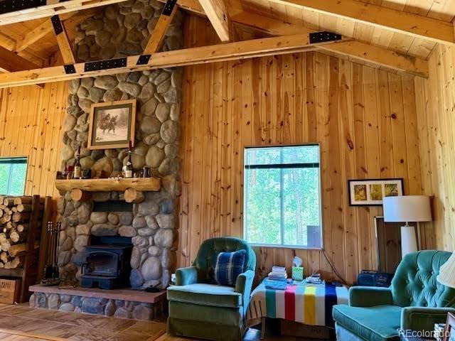 25 Aspen Dr, Walden, CO 80480 - photo 4