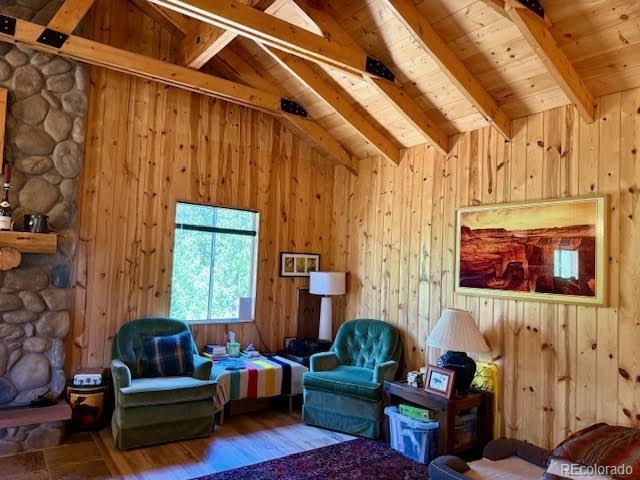 25 Aspen Dr, Walden, CO 80480 - photo 7