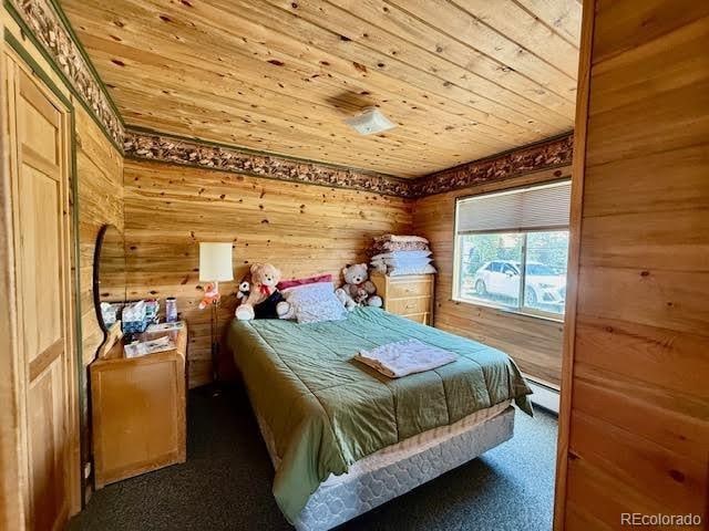 25 Aspen Dr, Walden, CO 80480 - photo 26