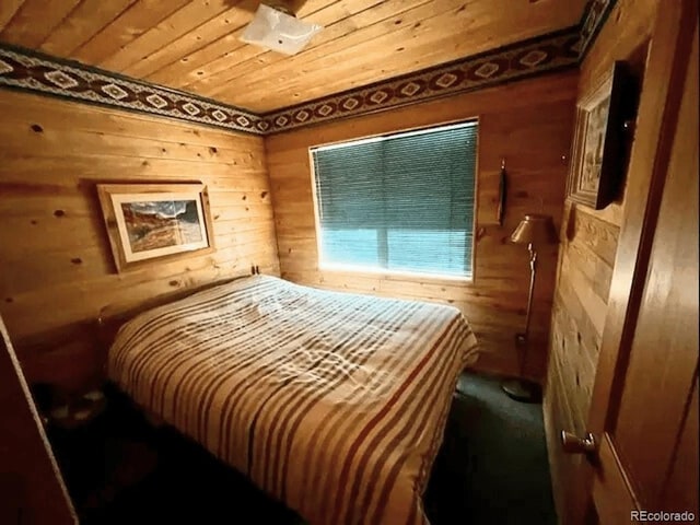 25 Aspen Dr, Walden, CO 80480 - photo 27