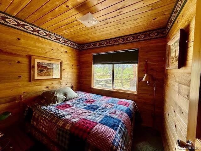 25 Aspen Dr, Walden, CO 80480 - photo 30