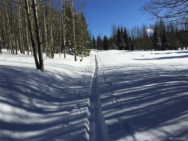 25 Aspen Dr, Walden, CO 80480 - photo 34