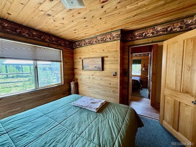 25 Aspen Dr, Walden, CO 80480 - photo 29