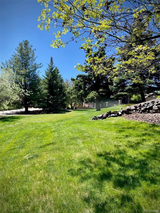 view of yard