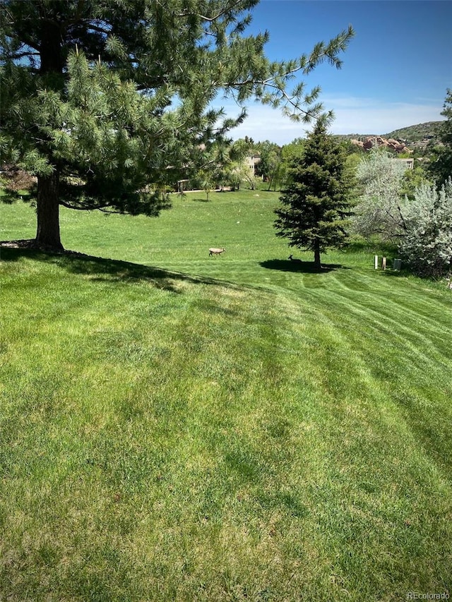 view of yard