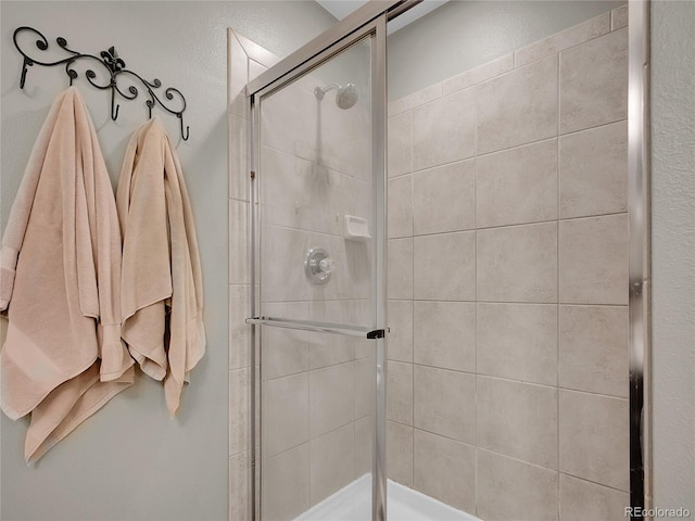 1234 Riddlewood Ln, Highlands Ranch, CO 80129 - full bath featuring a stall shower