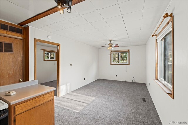 144 Crystal Park Rd, Manitou Springs, CO 80829 - photo 35
