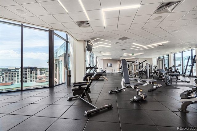 gym featuring a healthy amount of sunlight, floor to ceiling windows, and a drop ceiling