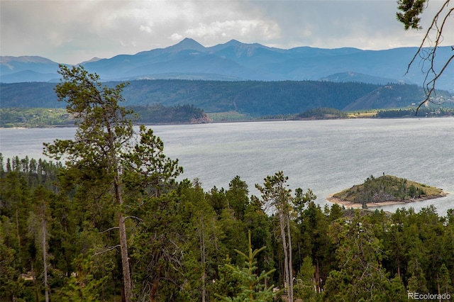 mountain view with a water view and a view of trees