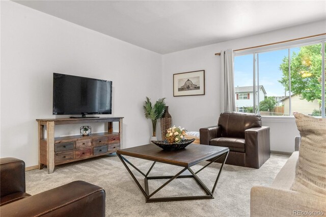 3700 Indianpipe Cir, Colorado Springs, CO 80918 - living area featuring light carpet