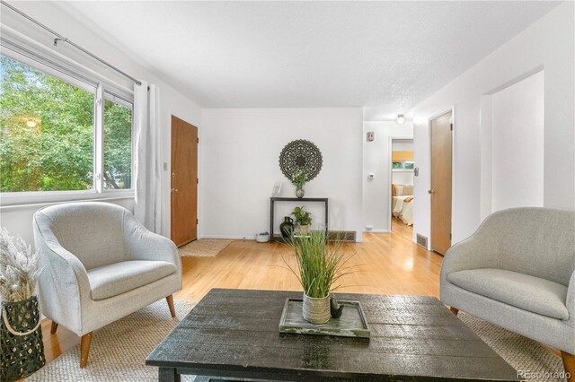 3700 Indianpipe Cir, Colorado Springs, CO 80918 - living room with light wood-type flooring