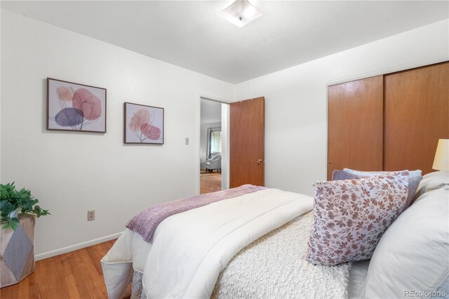 3700 Indianpipe Cir, Colorado Springs, CO 80918 - bedroom with light wood finished floors and a closet