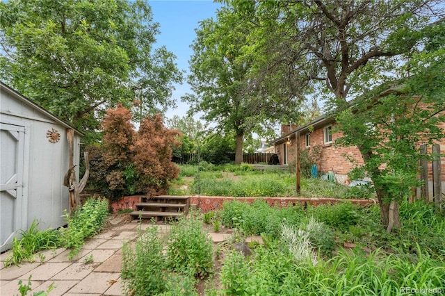 3700 Indianpipe Cir, Colorado Springs, CO 80918 - view of yard featuring a shed