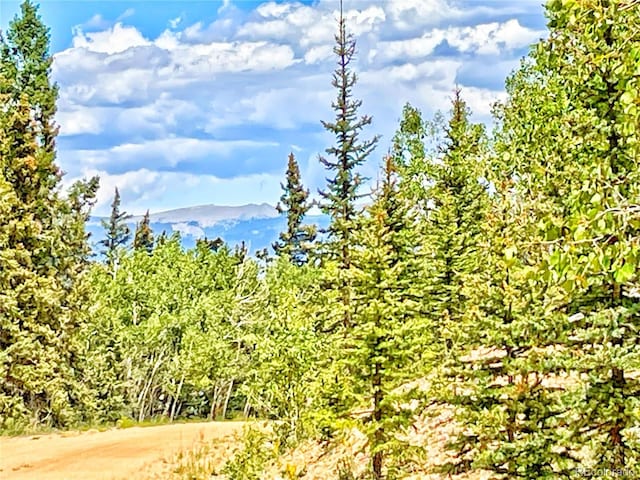 224 Apache Trl, Como, CO 80432