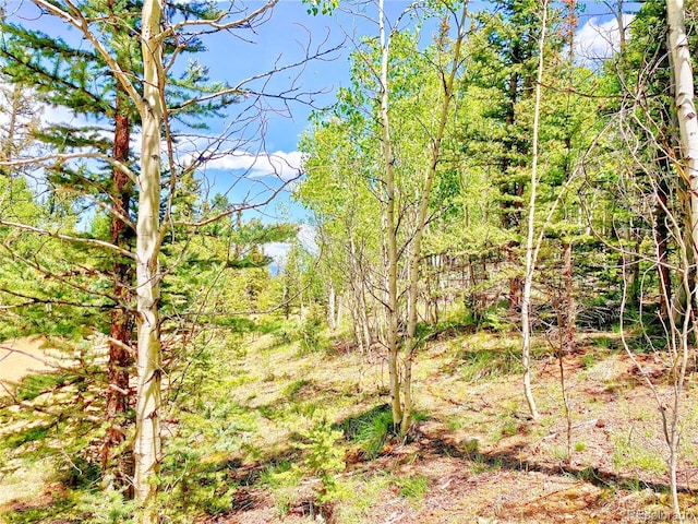 224 Apache Trl, Como, CO 80432