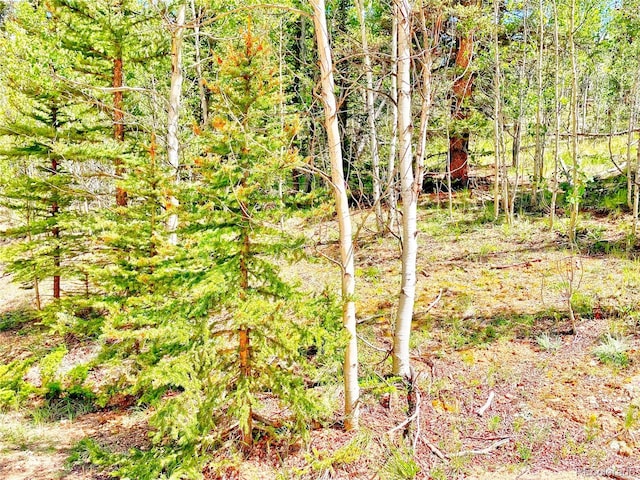 224 Apache Trl, Como, CO 80432