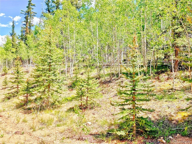 224 Apache Trl, Como, CO 80432