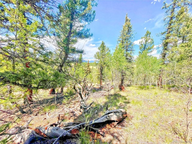 224 Apache Trl, Como, CO 80432