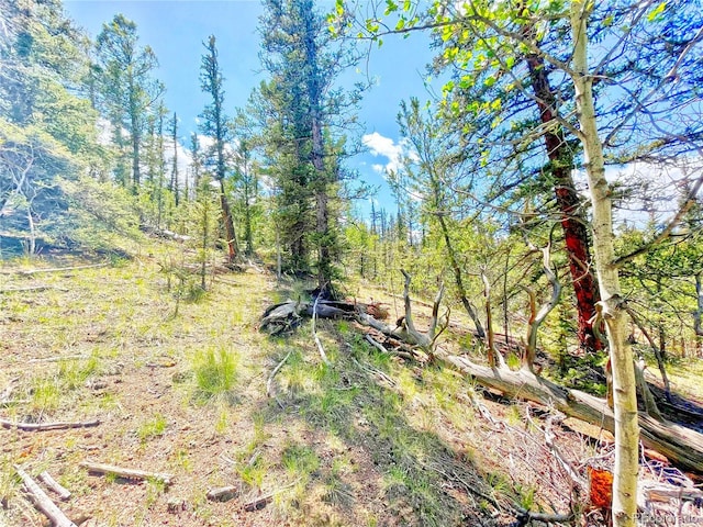 224 Apache Trl, Como, CO 80432