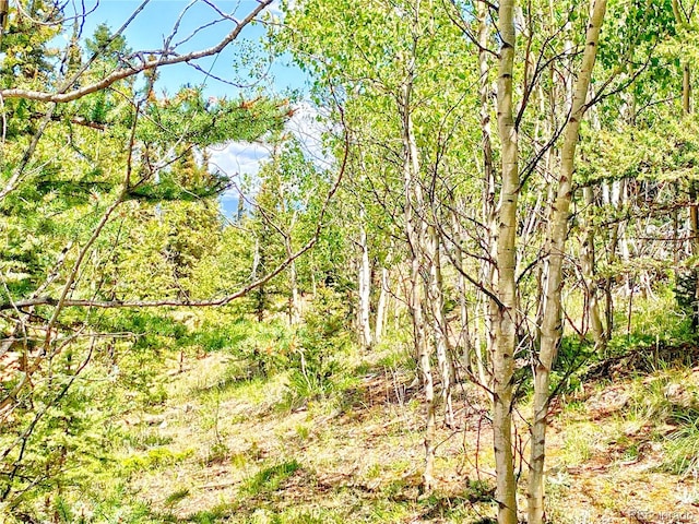 224 Apache Trl, Como, CO 80432